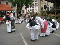 FS Artiče